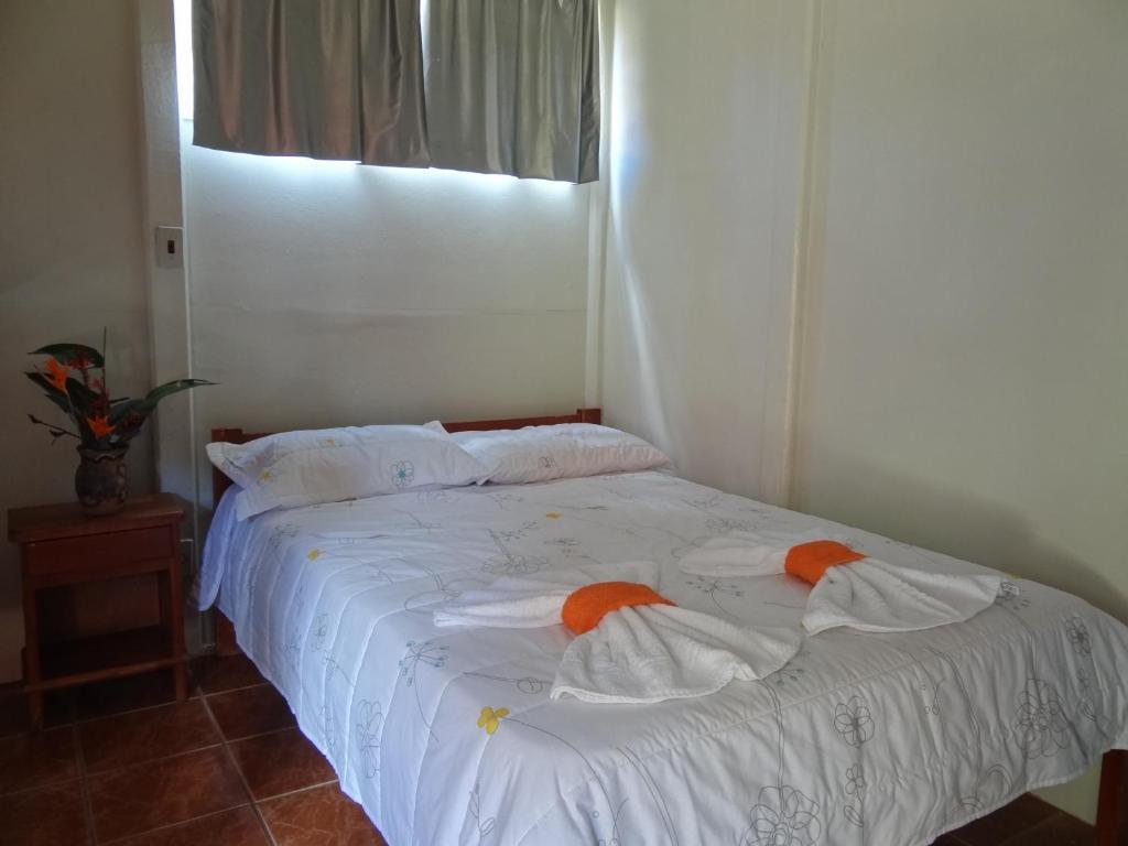 Pousada Chao De Pedra Bonito  Room photo